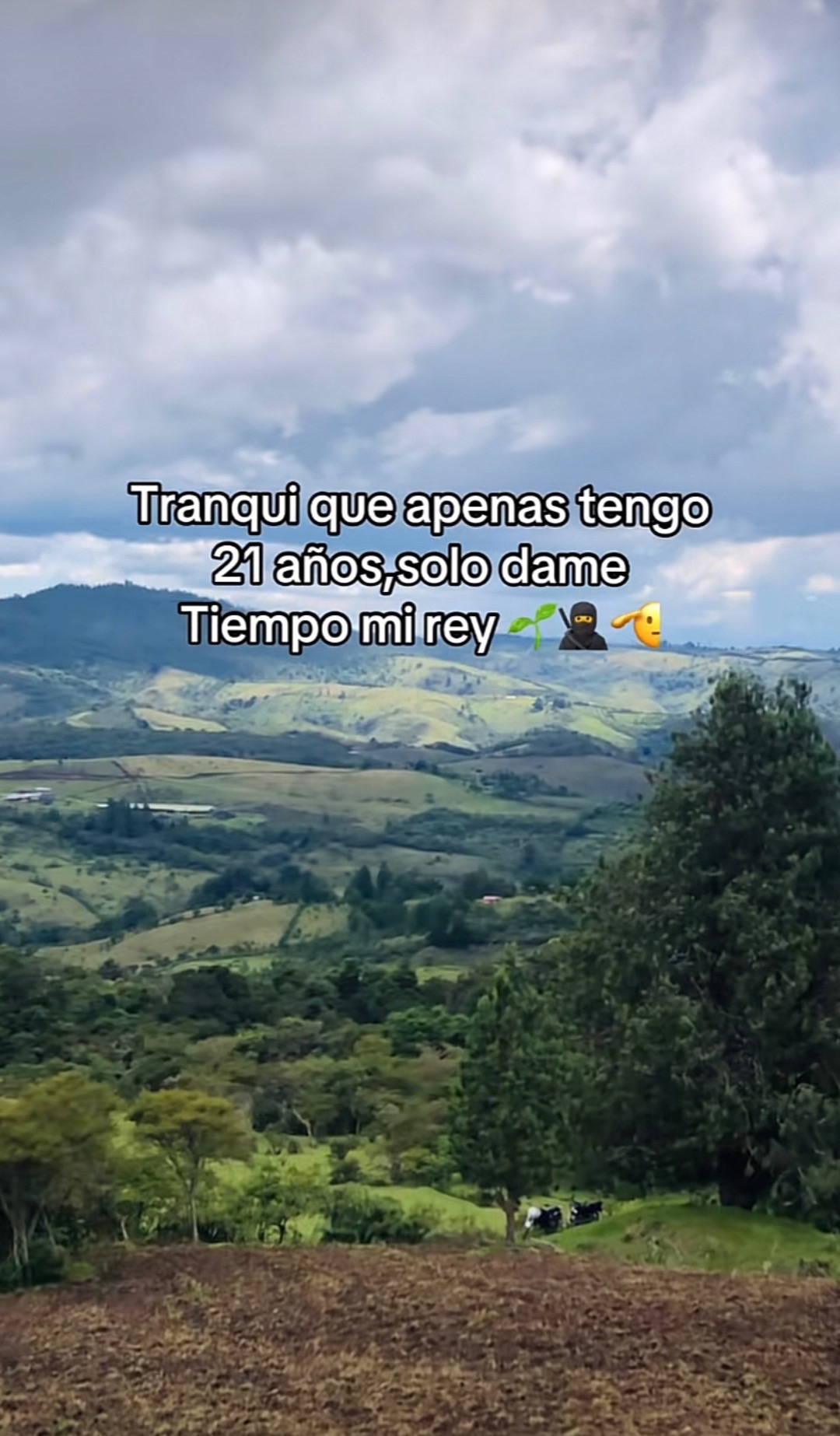 @Raul Vicente López
