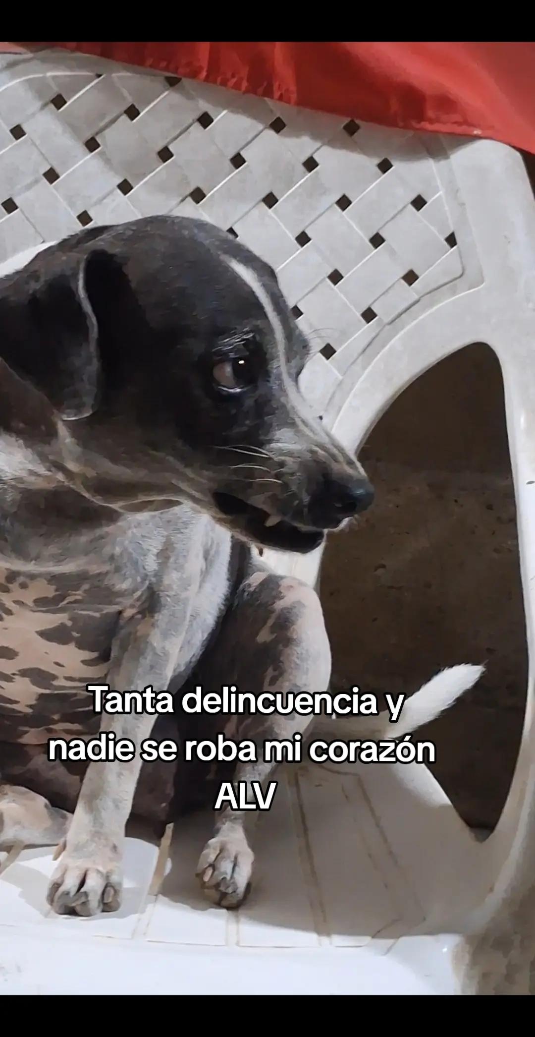 @MANCHAS 0714 OFICIAL