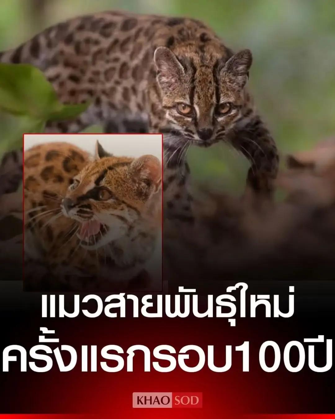 @หลวง peoplepost