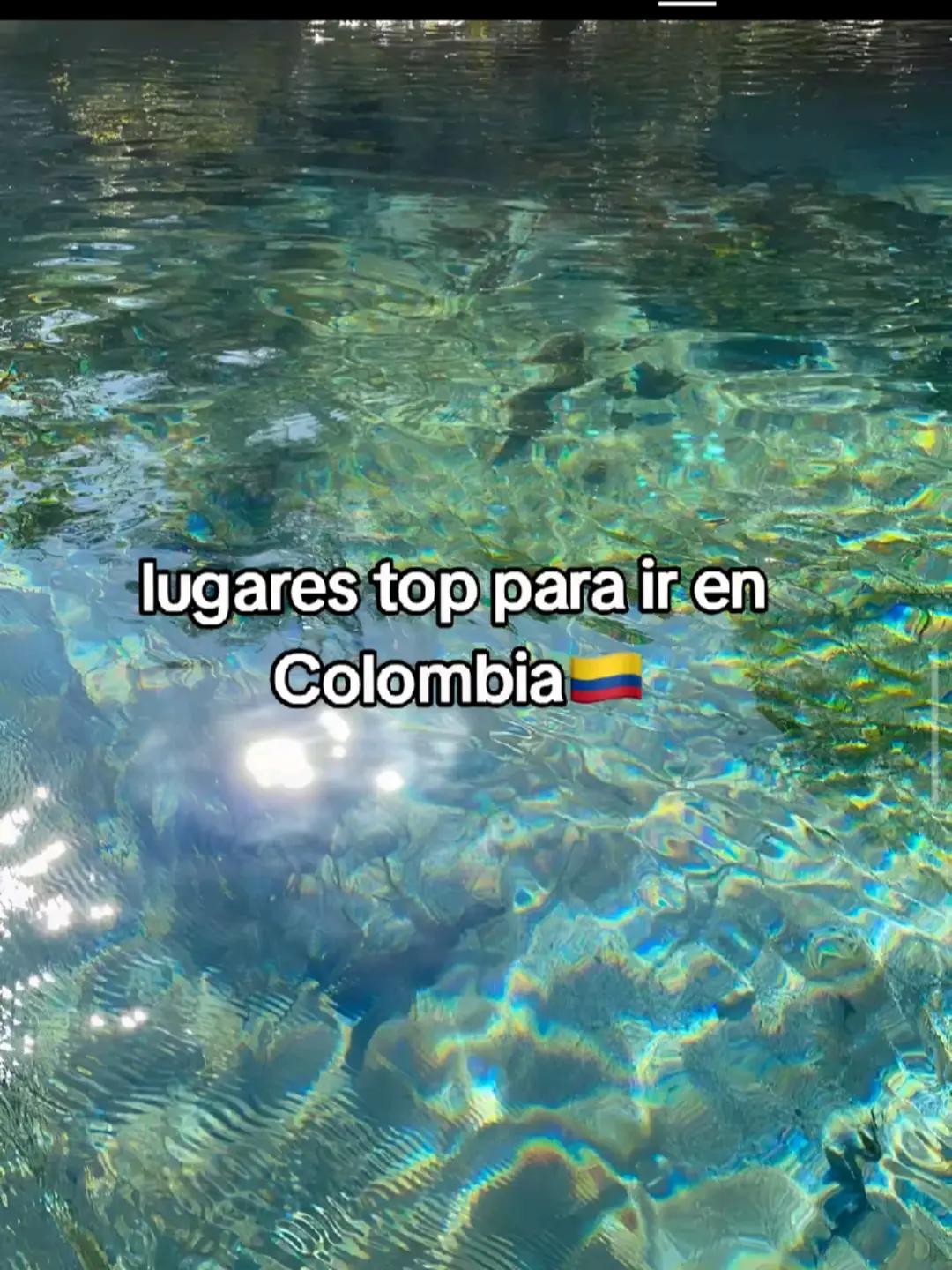 @Mosquera 👾