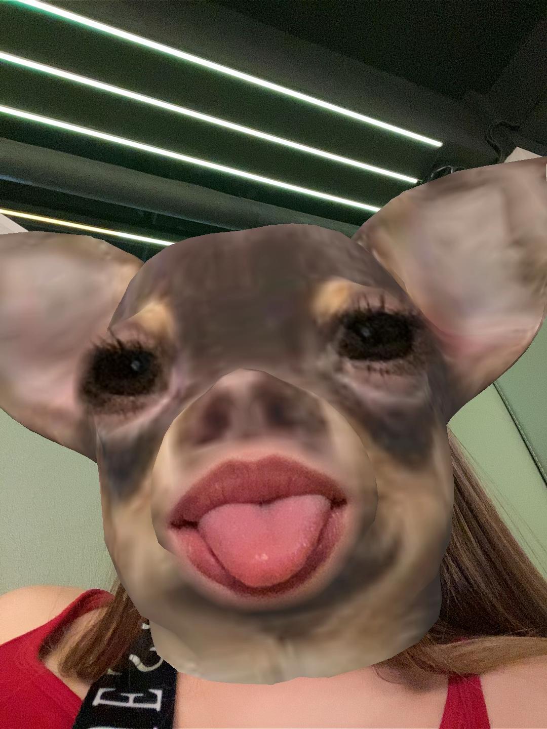 @a.linochka🤍