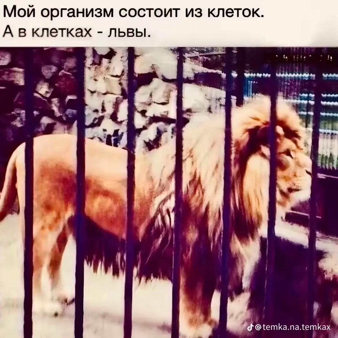 @Попла#FC🥜club