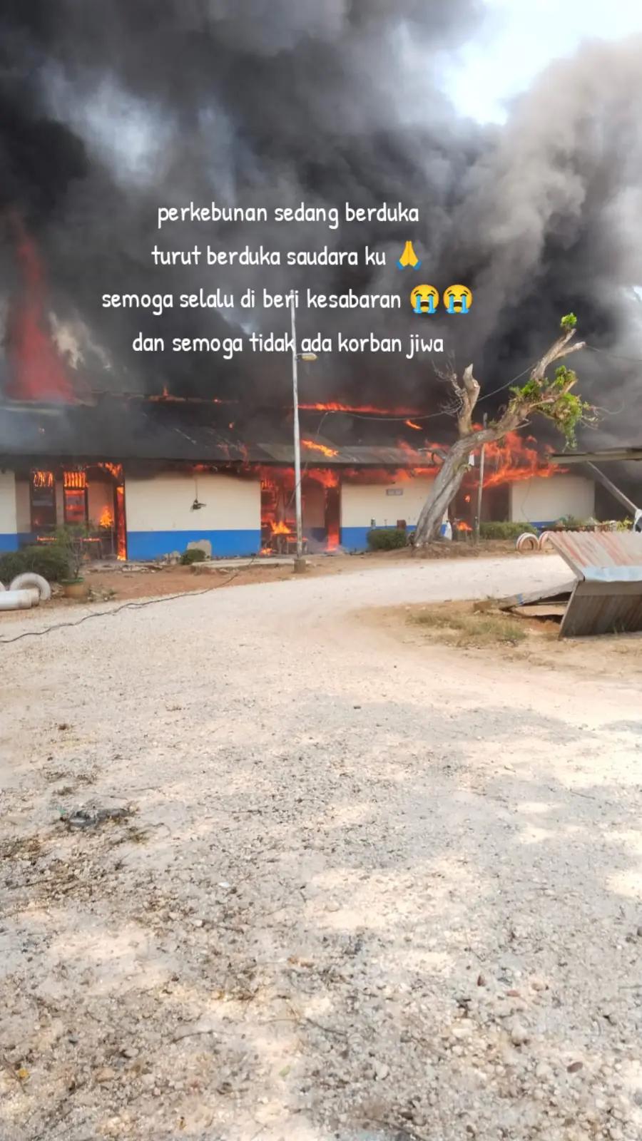@Daryani yani