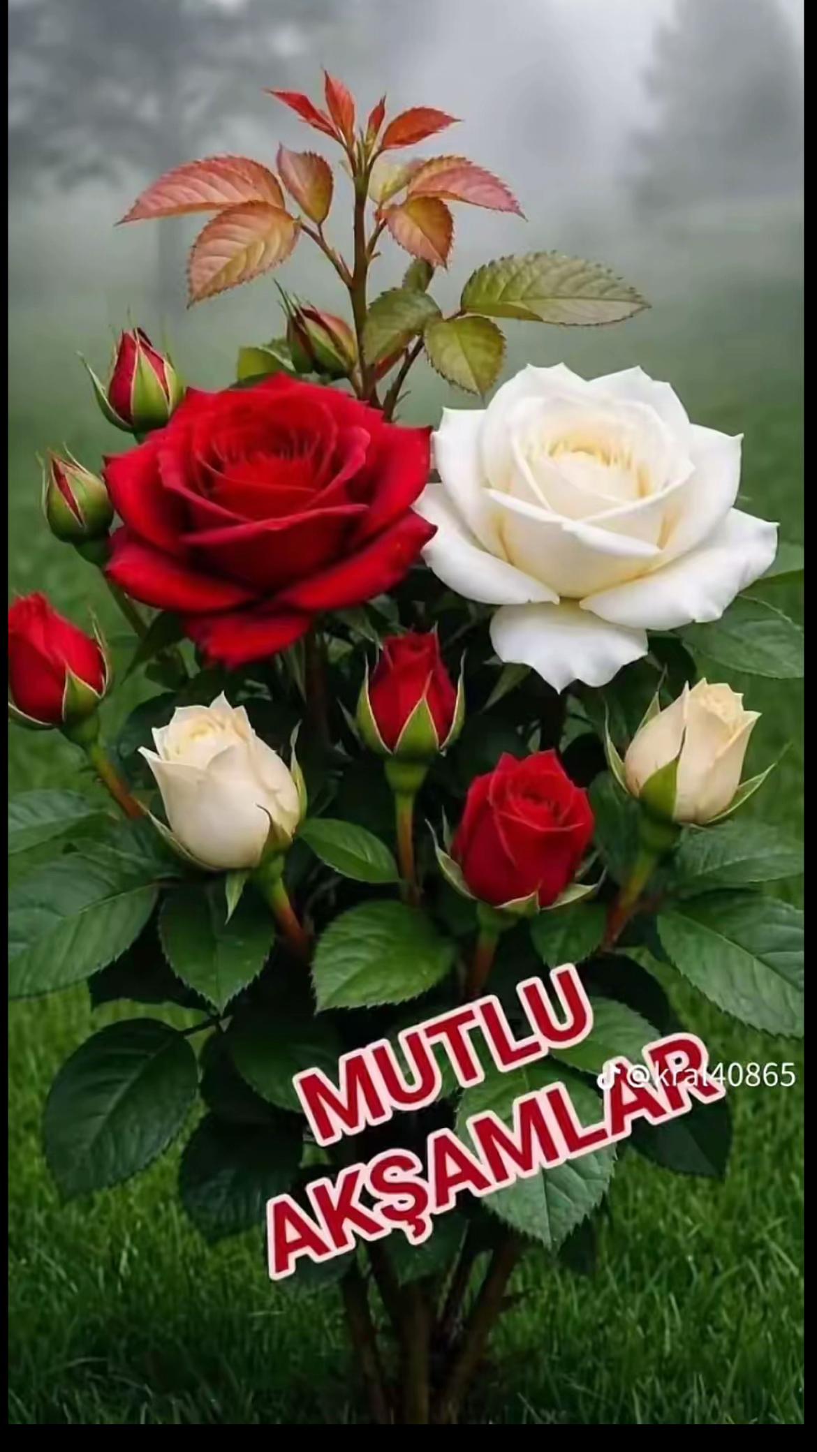 @Dereköy’lü