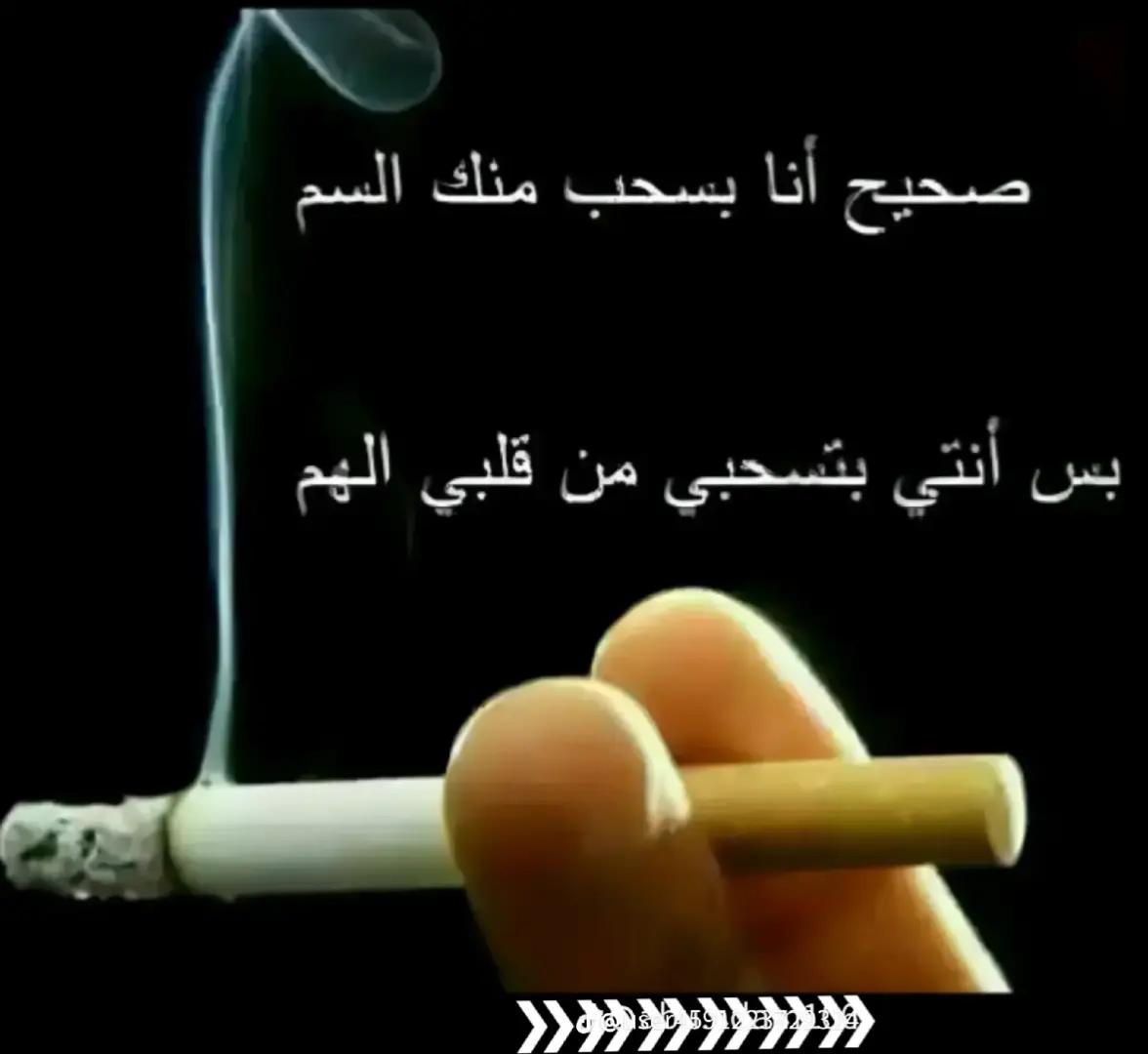 @🦁آلَآسۣۗـۙد🦁