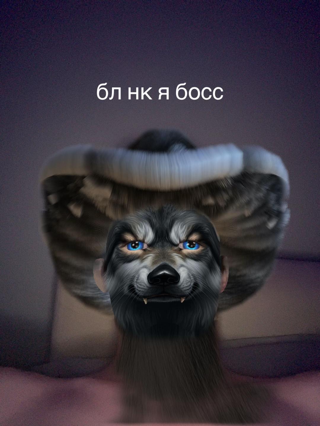 @autogr33d