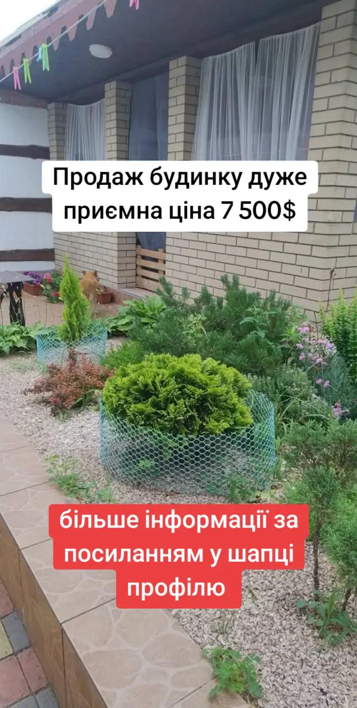 @БудиноКК