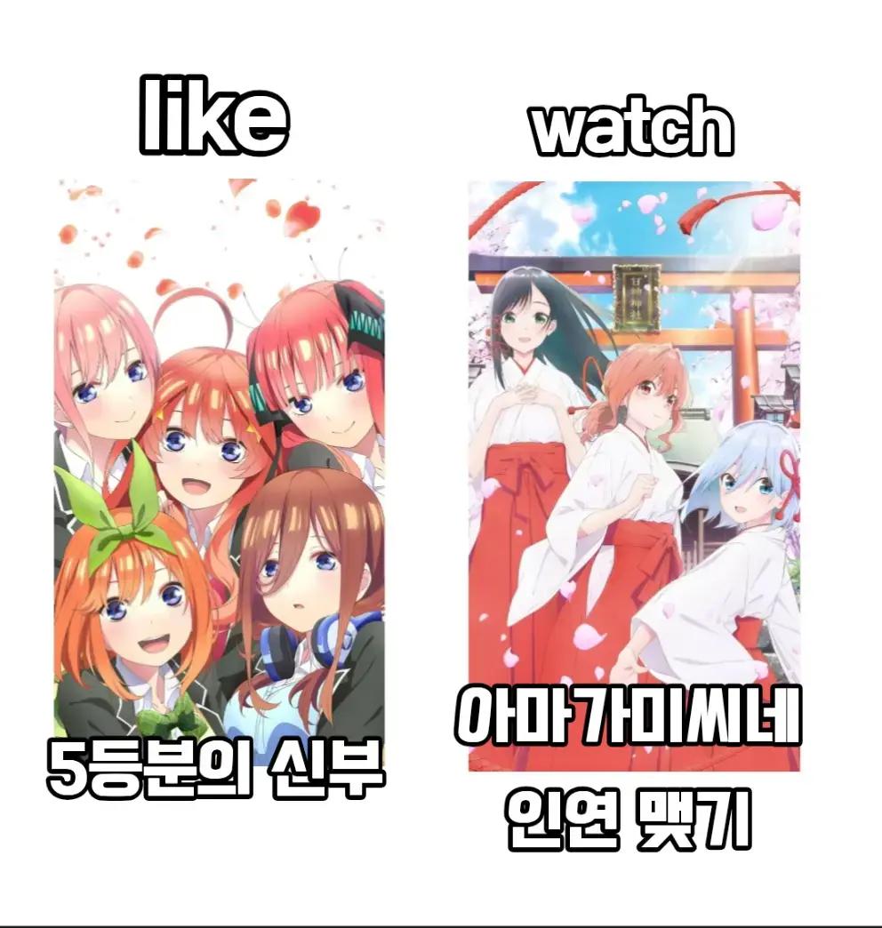 @๋๋ฐ์์ฝ ๐ฉ๐ถ๐น๐๐๐ฝ๐พ๐๐