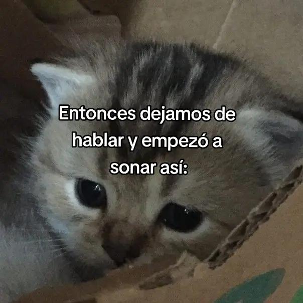 @SUGATEQUIERO