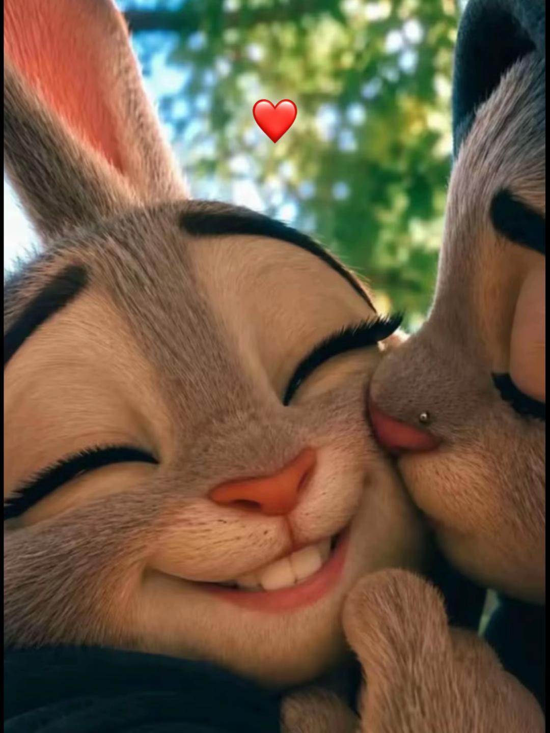 @𝓼𝓸𝓯𝓲💞