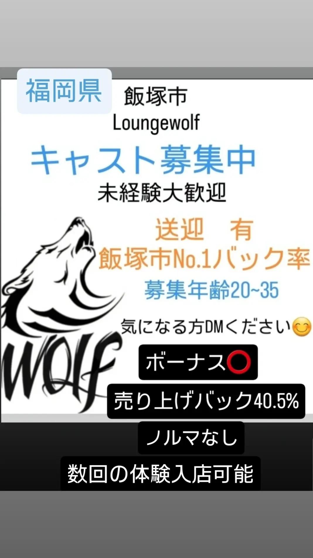@Lounge wolf