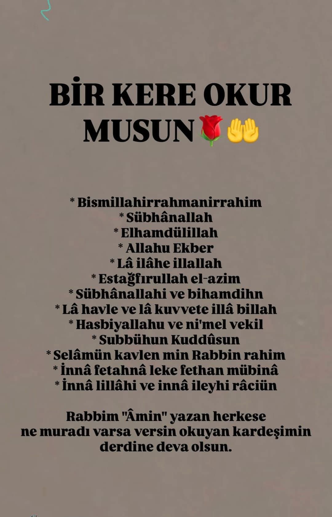 @Raziye Erim