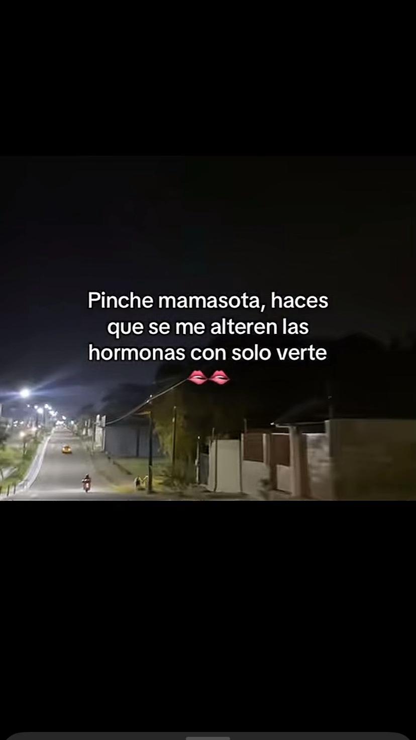 @Tu Sarquito Favorito