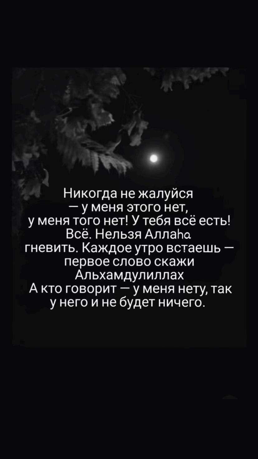 @𝓢𝓮𝓿
