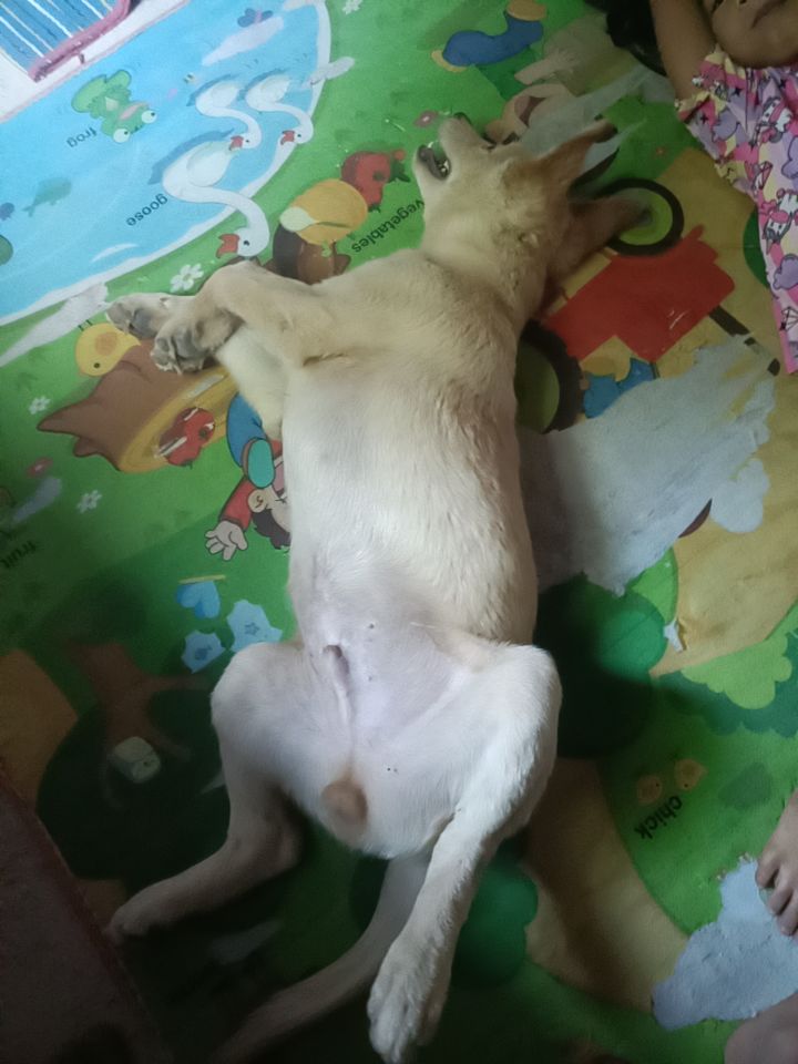 @นับตังค์