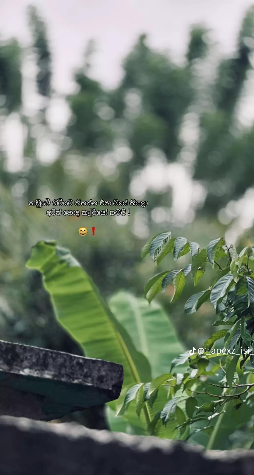 @๐ป๐๐๐๐๐ฅค๐งธแฅซแญก"