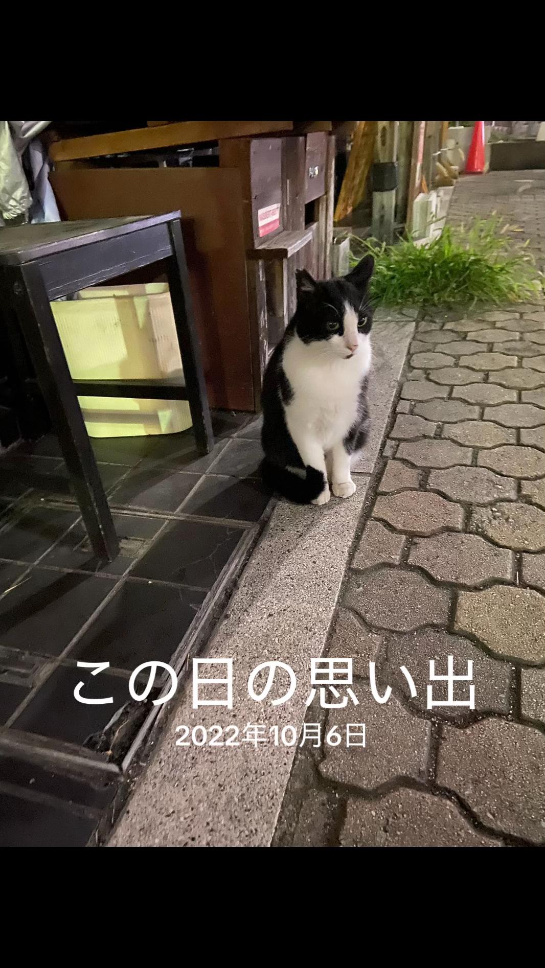 @山田ジャック