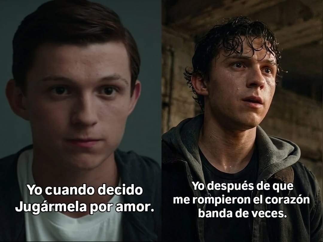 @Peter Parker 🕷️🕸️