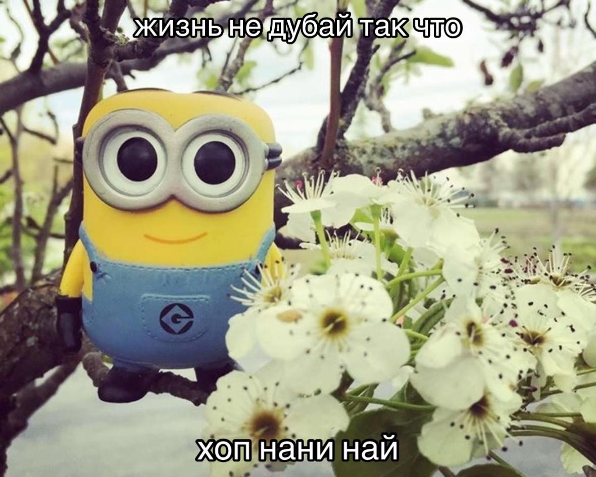 @челобэка𓍢ִ໋ ༘