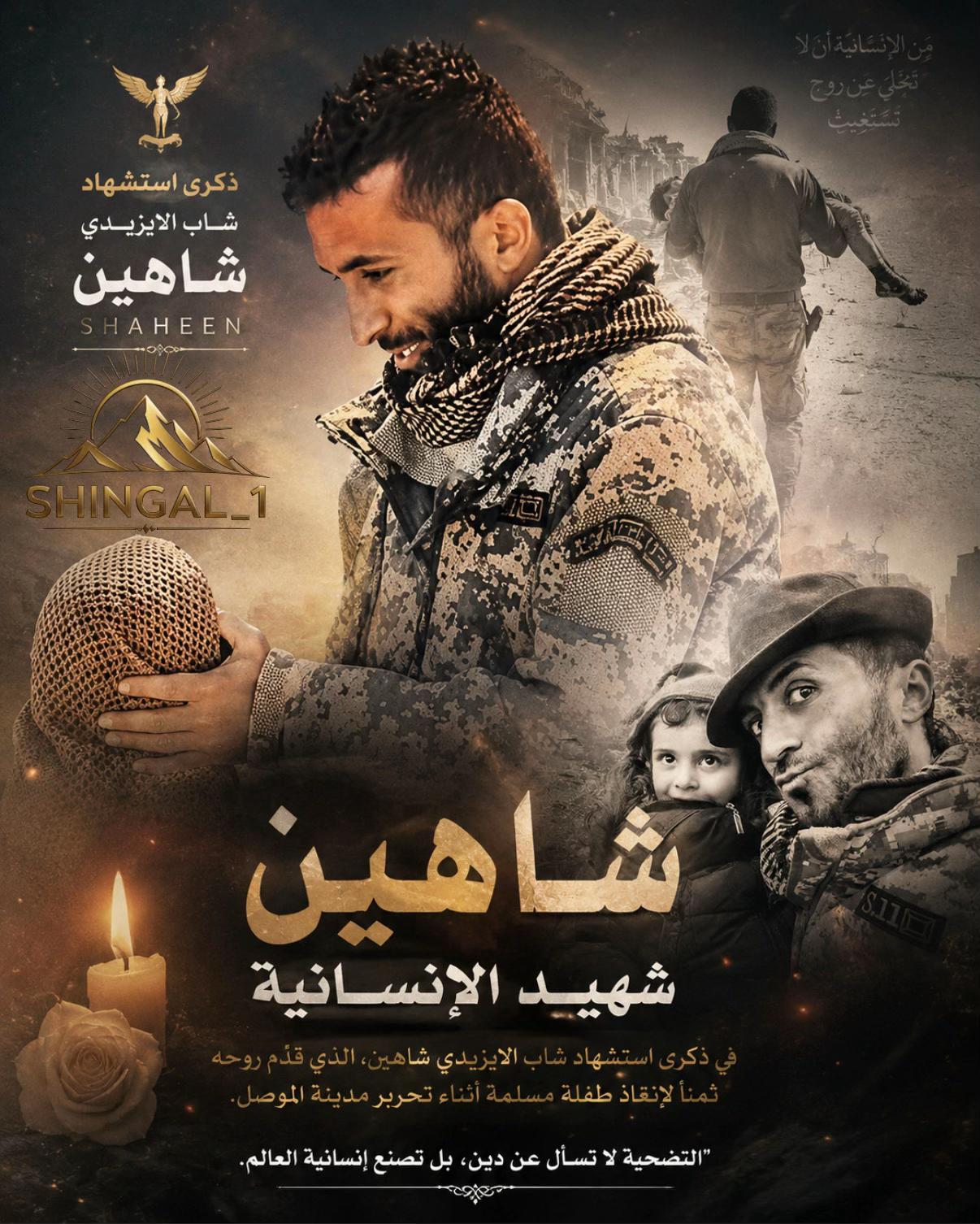 @shingal_1