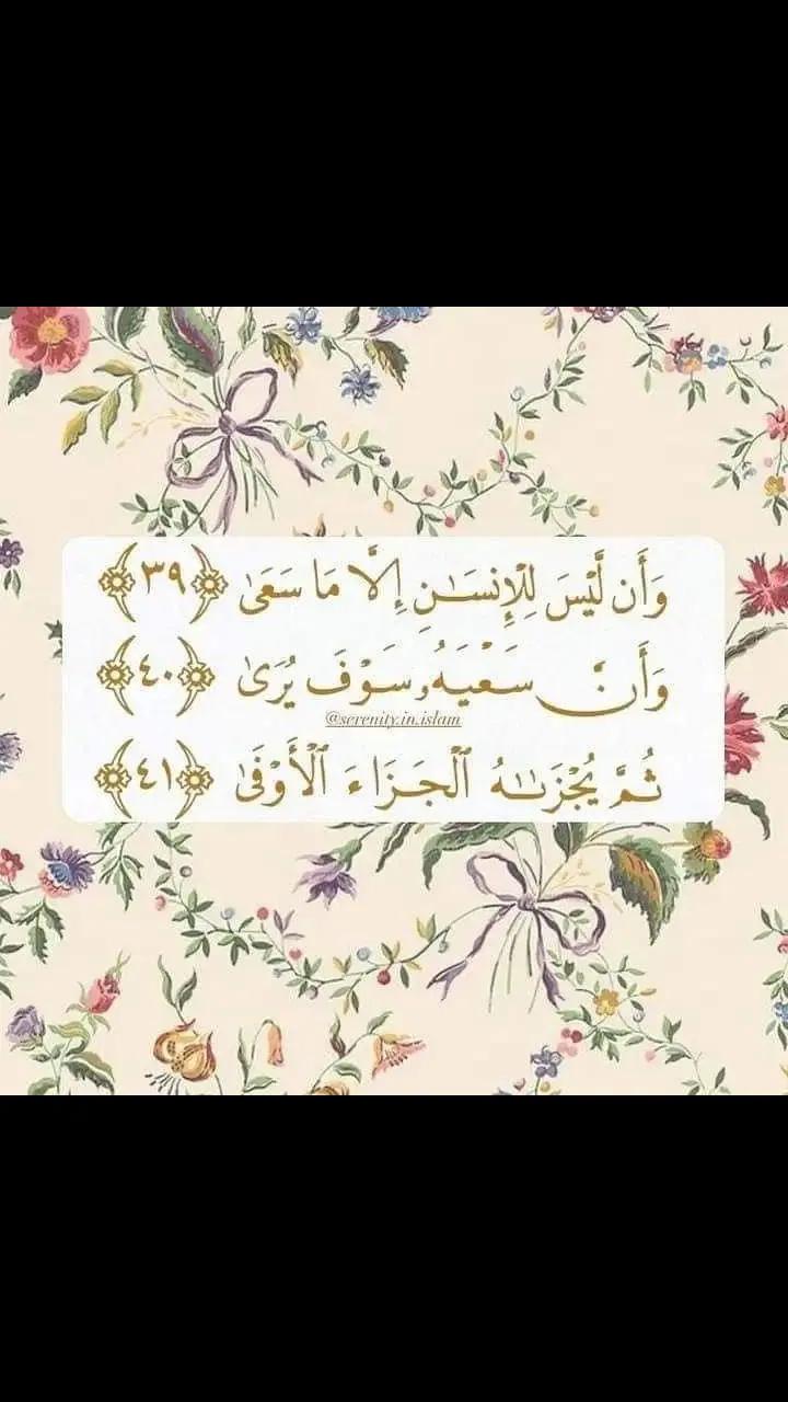 @zeina Ahmed