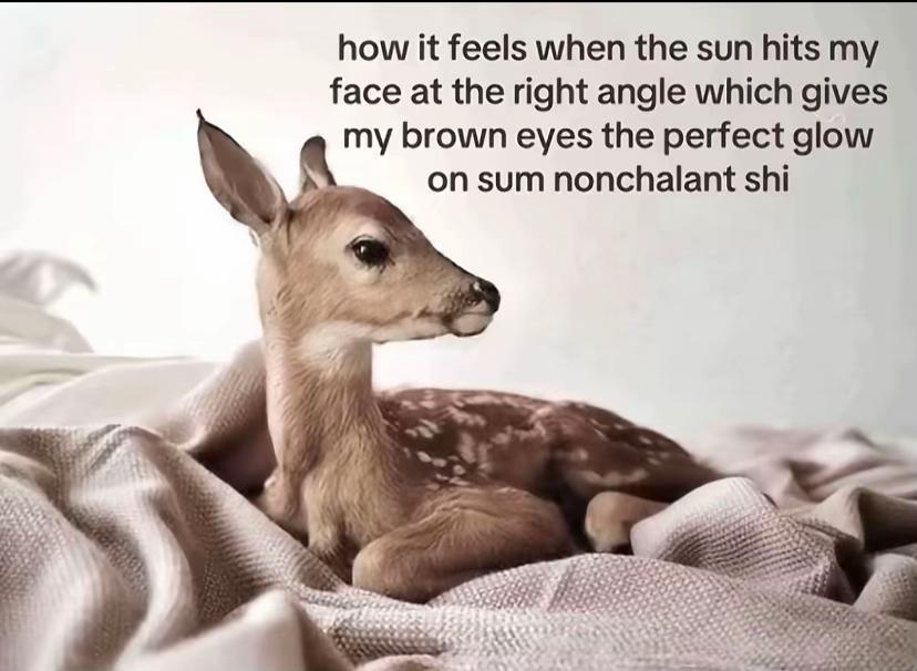 @alyeah