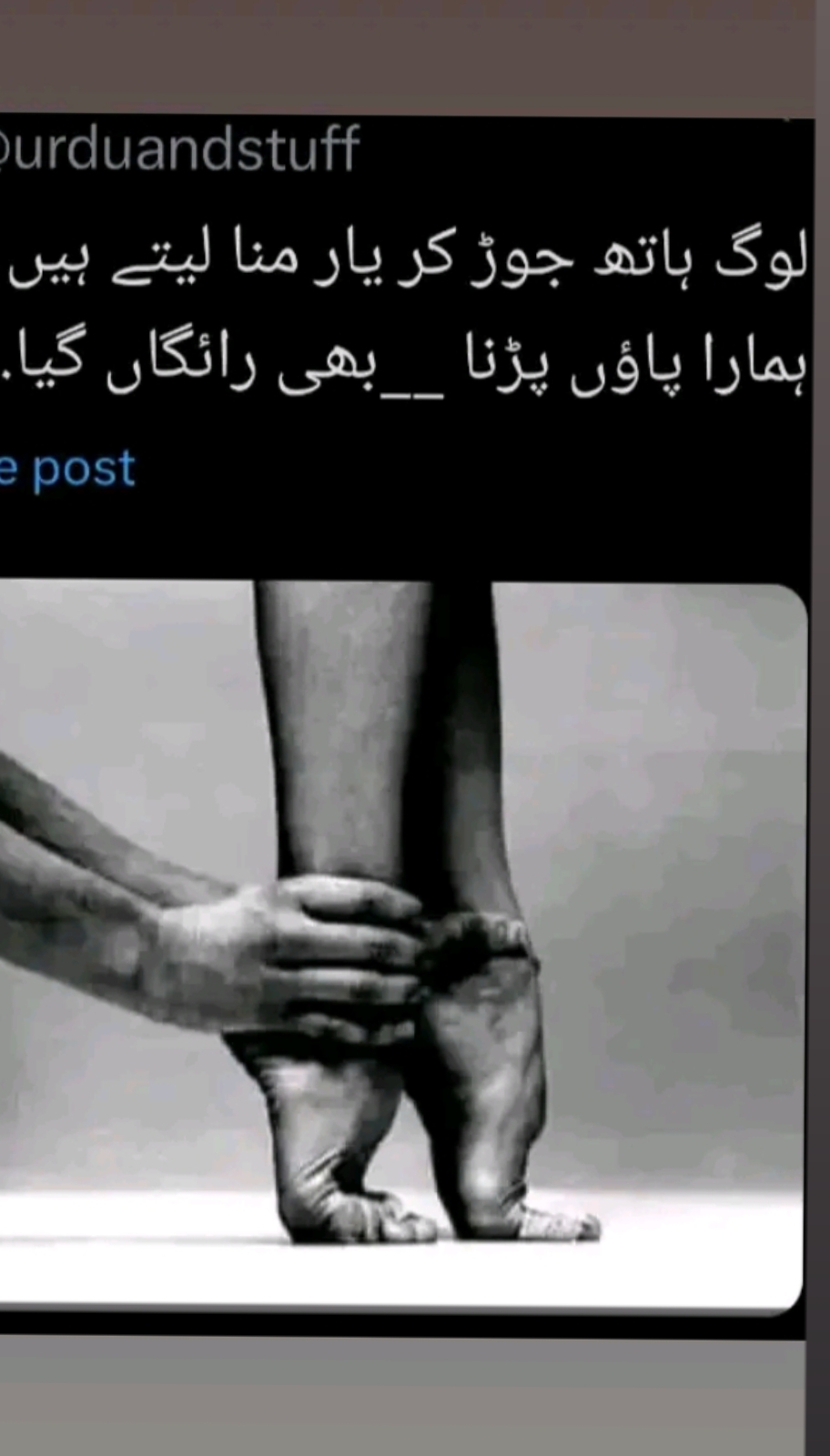 @syeda Fatima 💞