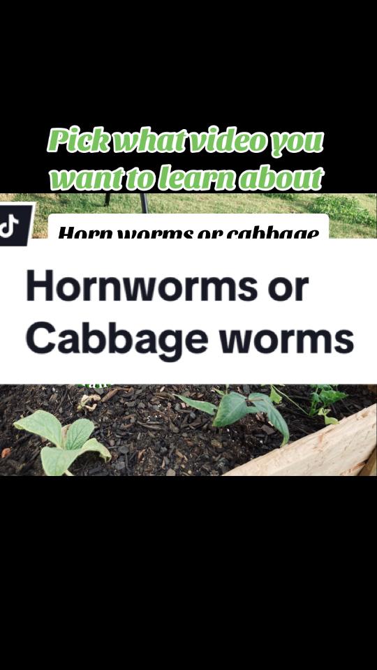 @Aiden&rsquo;sgardening