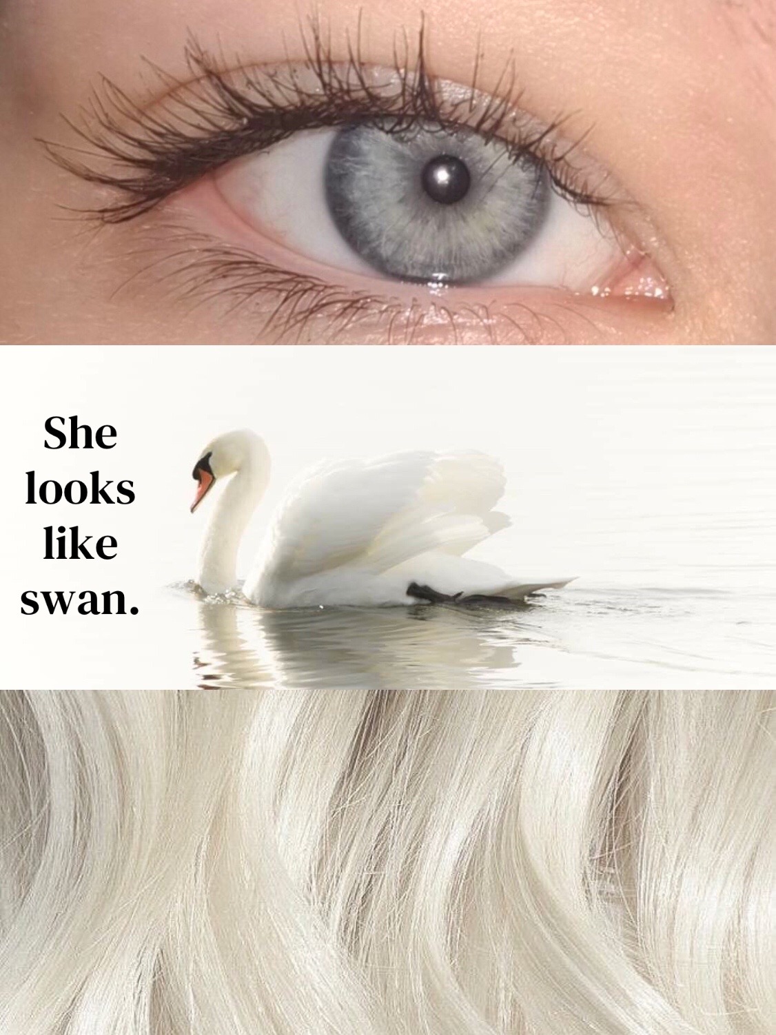 @⋆𐙚⋆