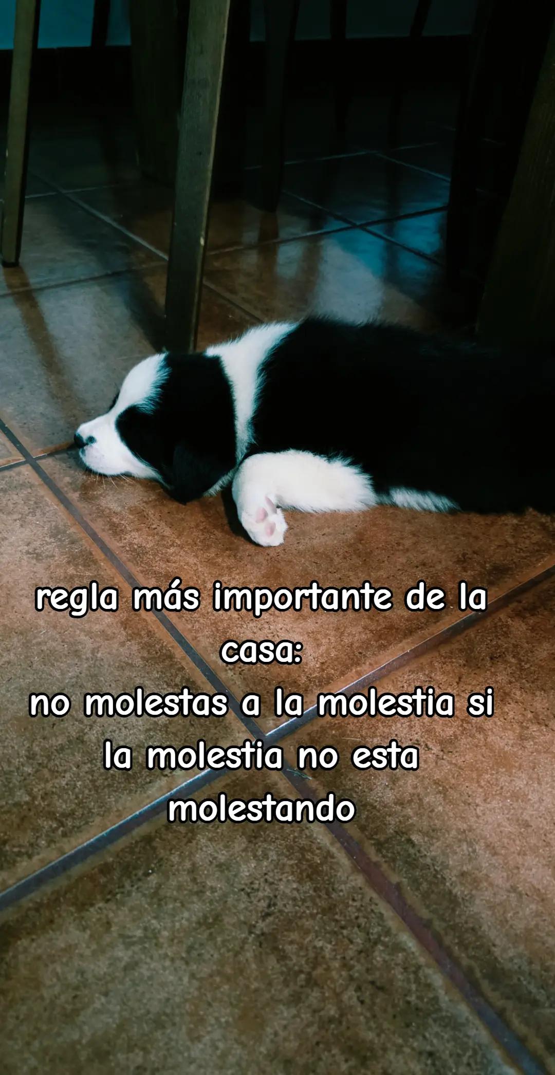 @martuky😜