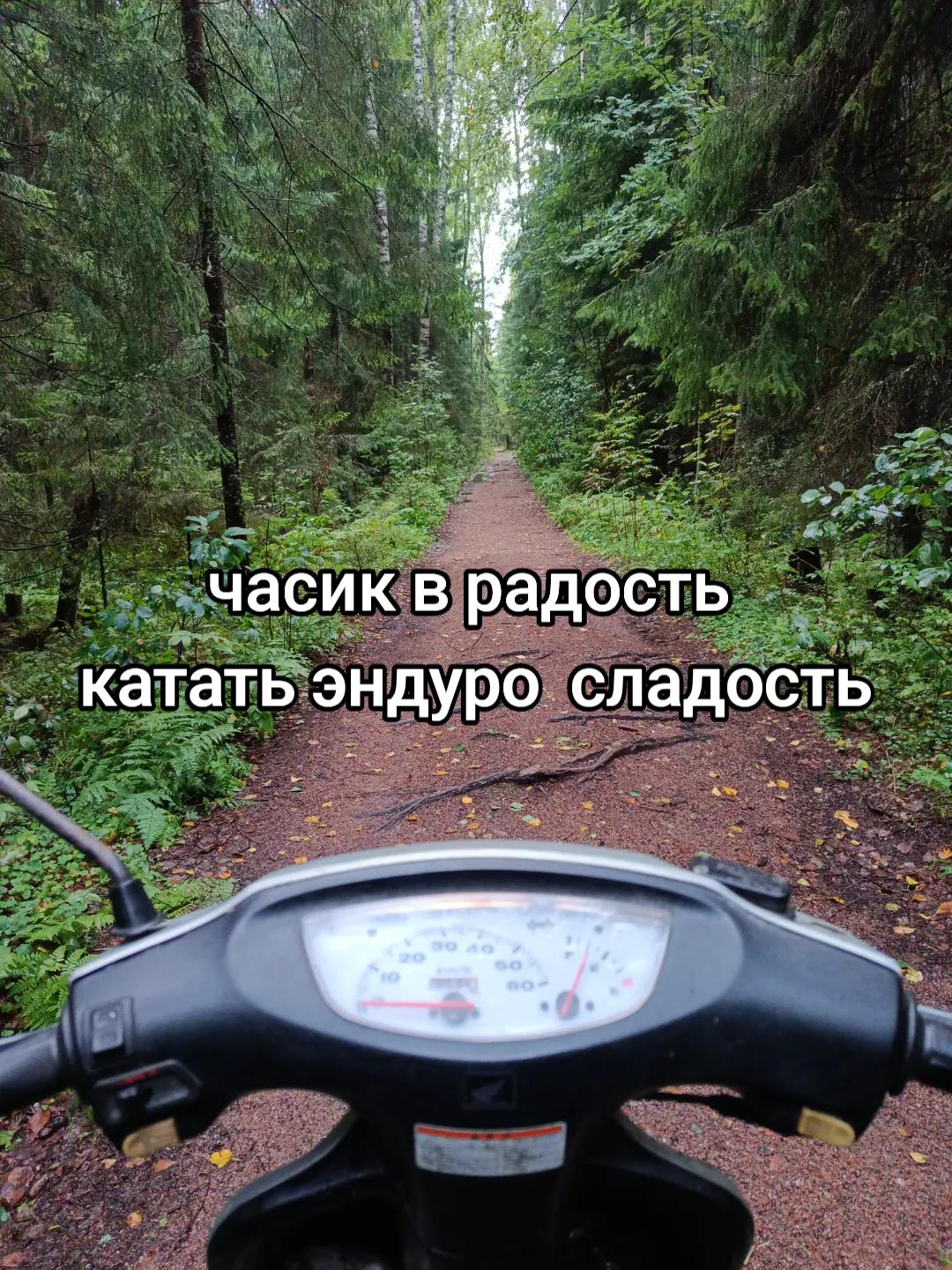 @Rider на куго