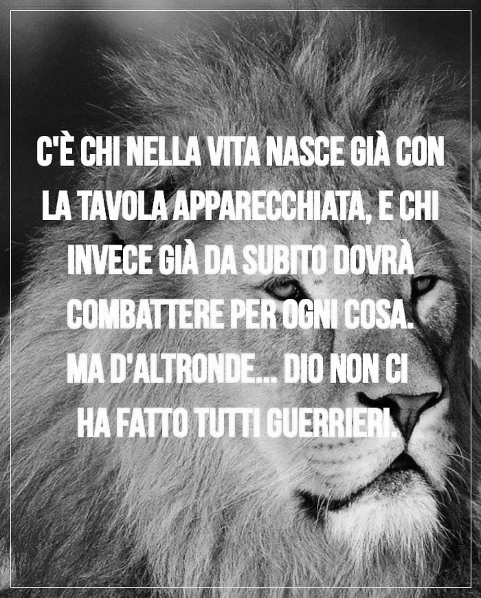 @Gioacchino Lupo