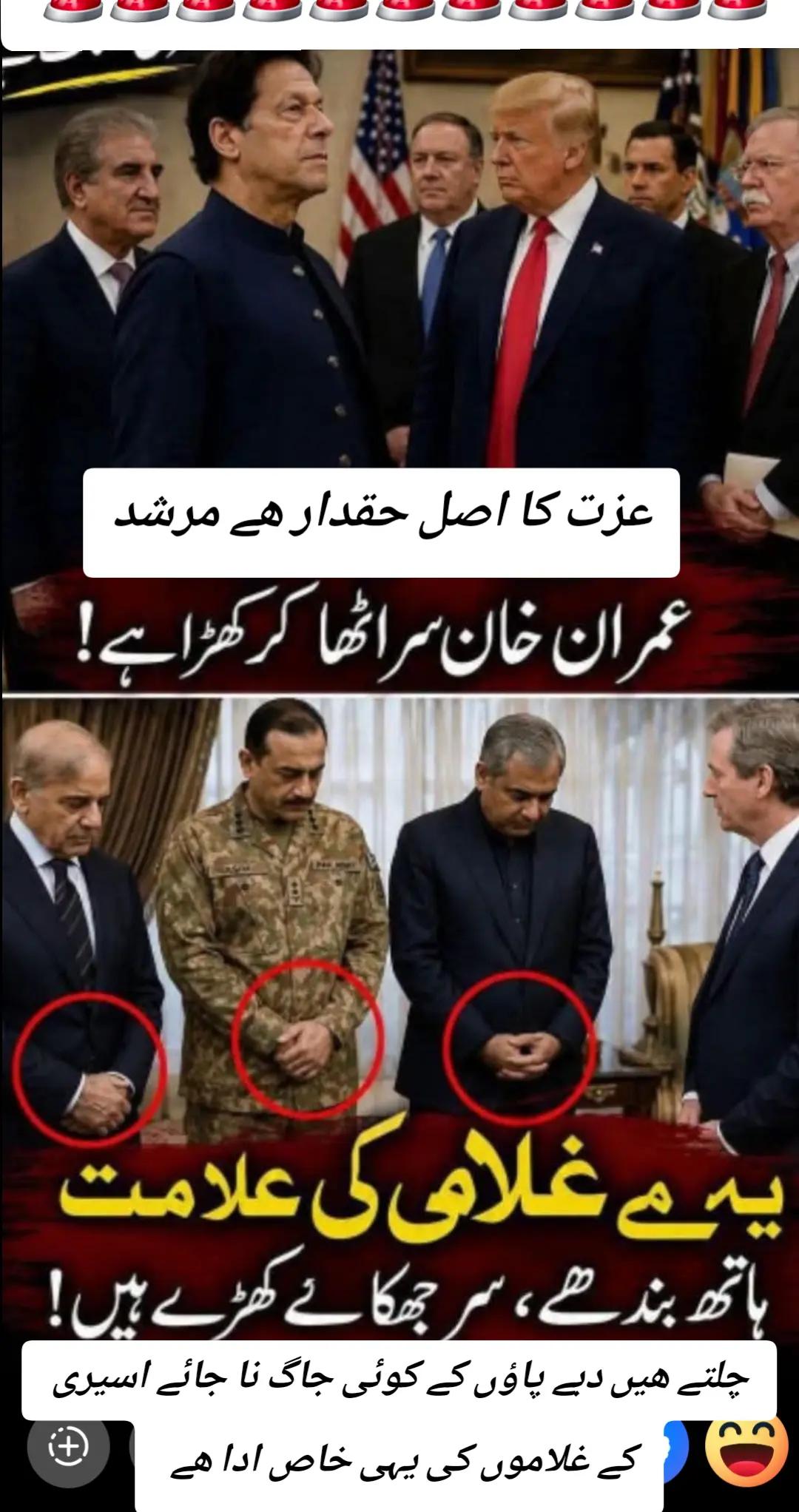 @اڈیالہ 804