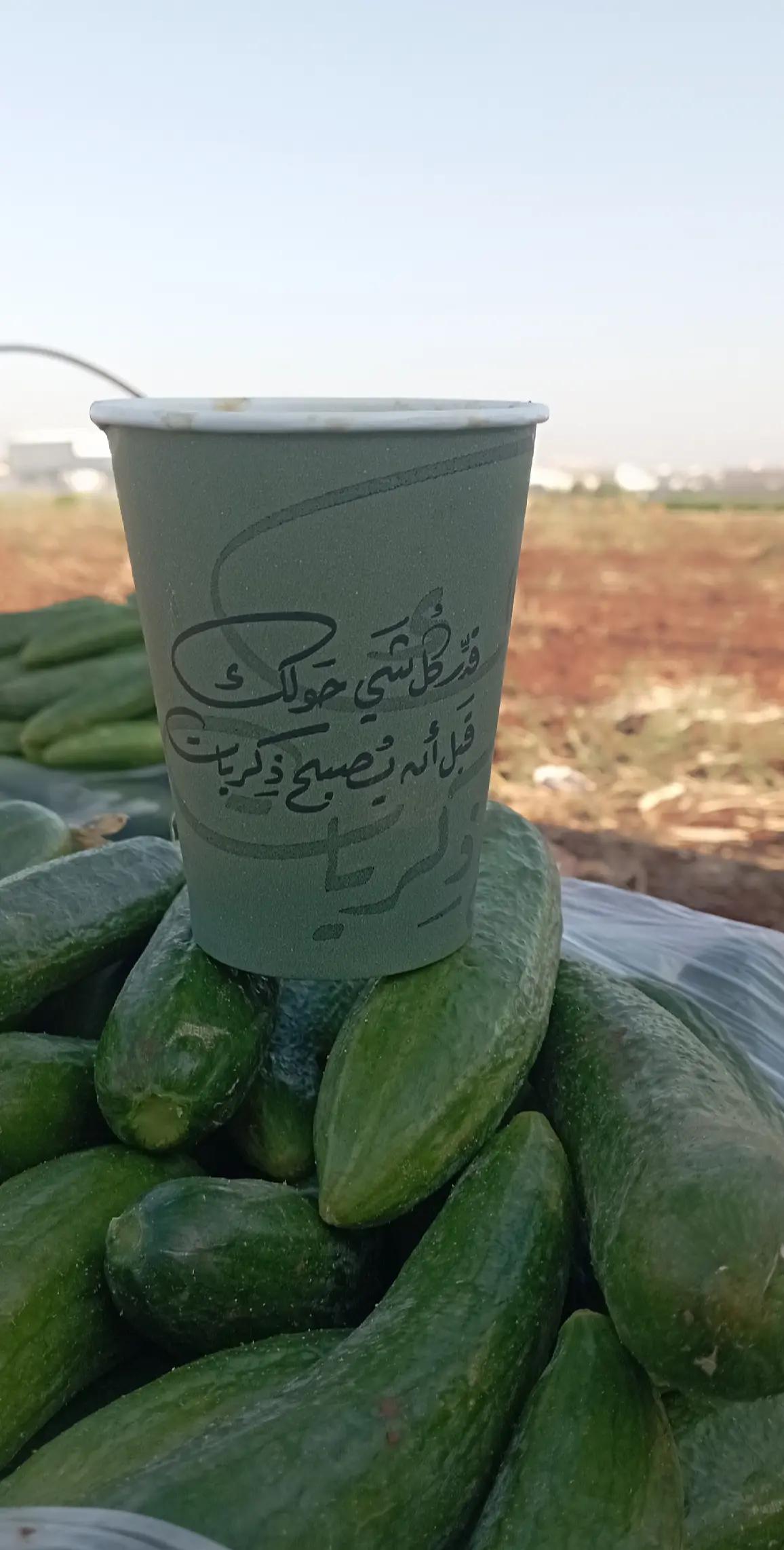 @أڵـــخــواجةأبّـــوأڵـــجود505