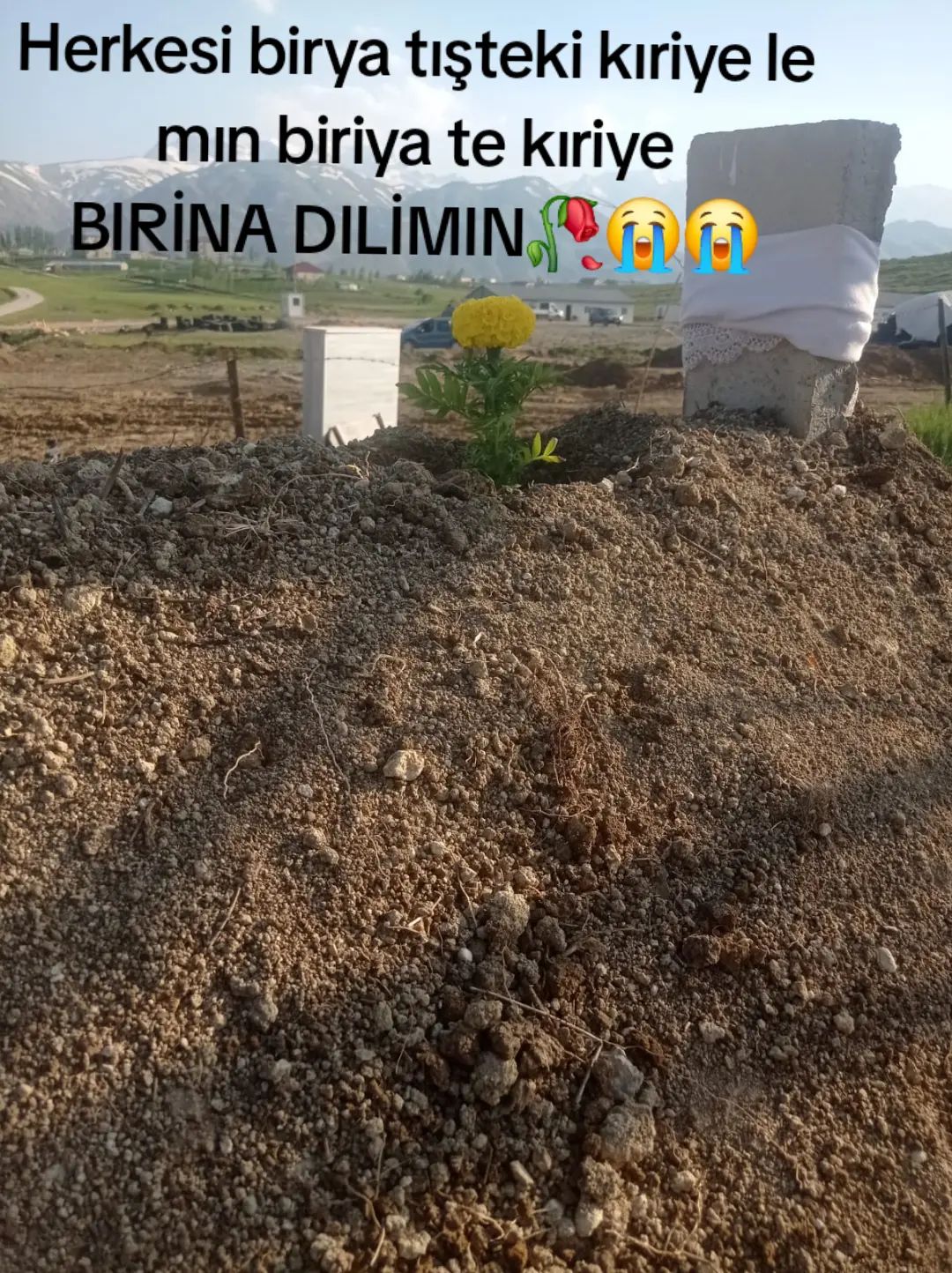 @Sedat Kayhan