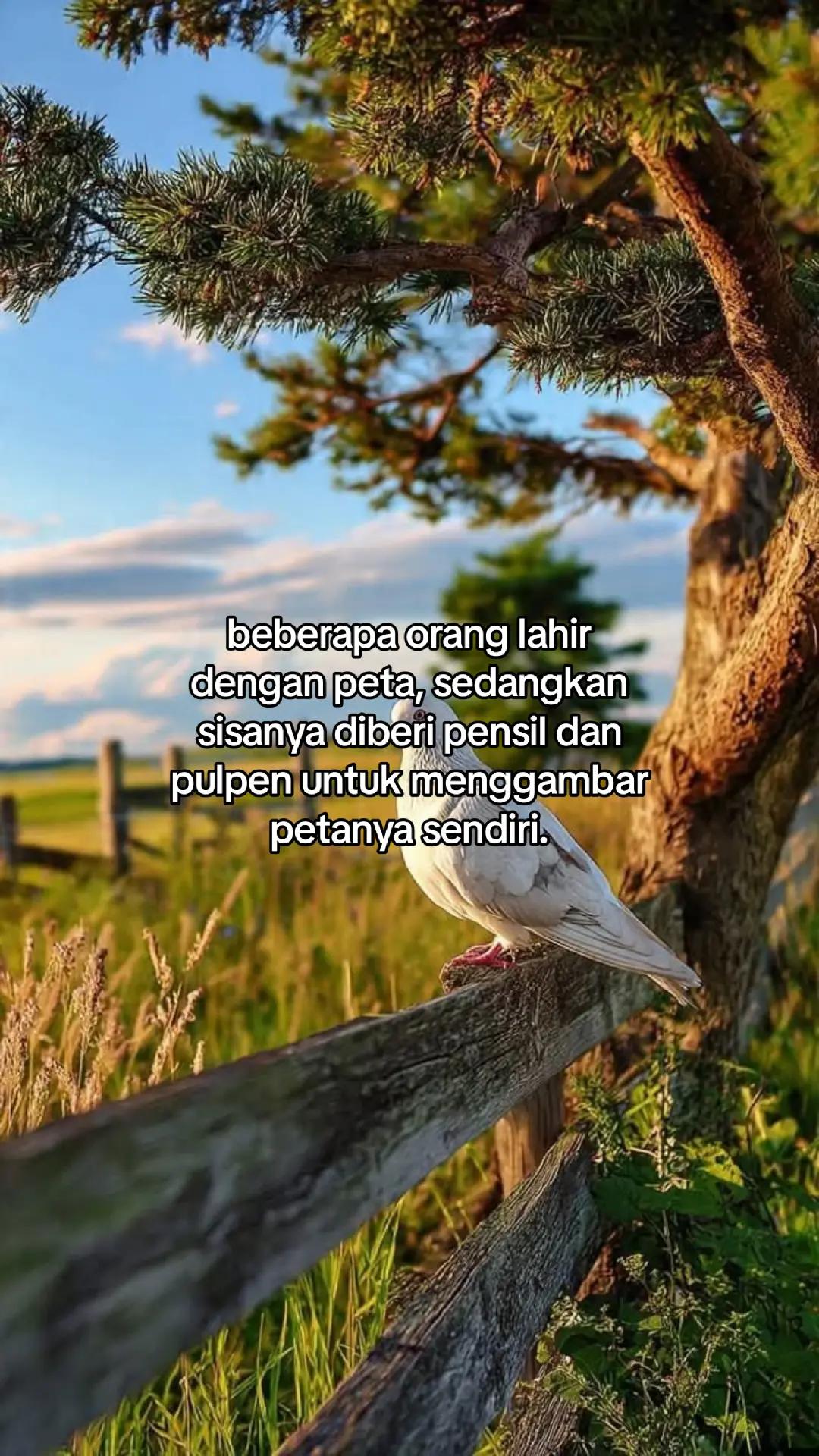 @wisnu23