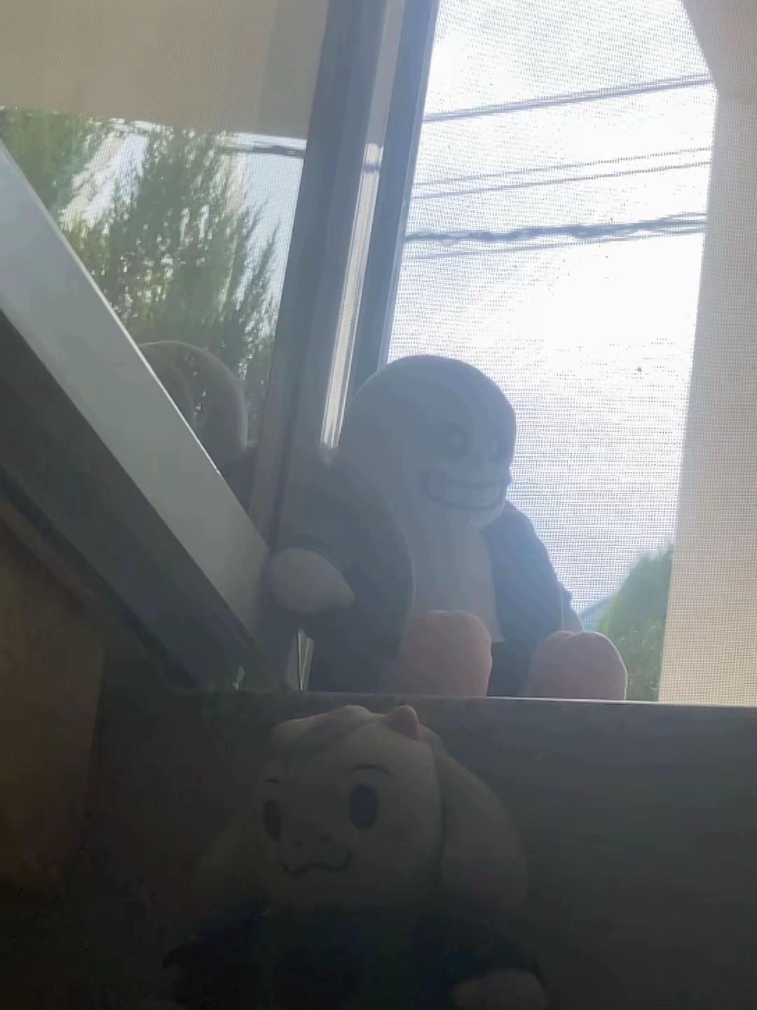 @Ralsei plush owner 25