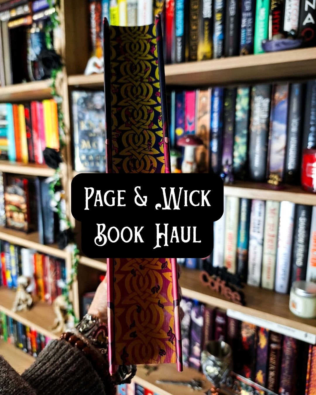 @Noelle📚 Book Recs & Writer