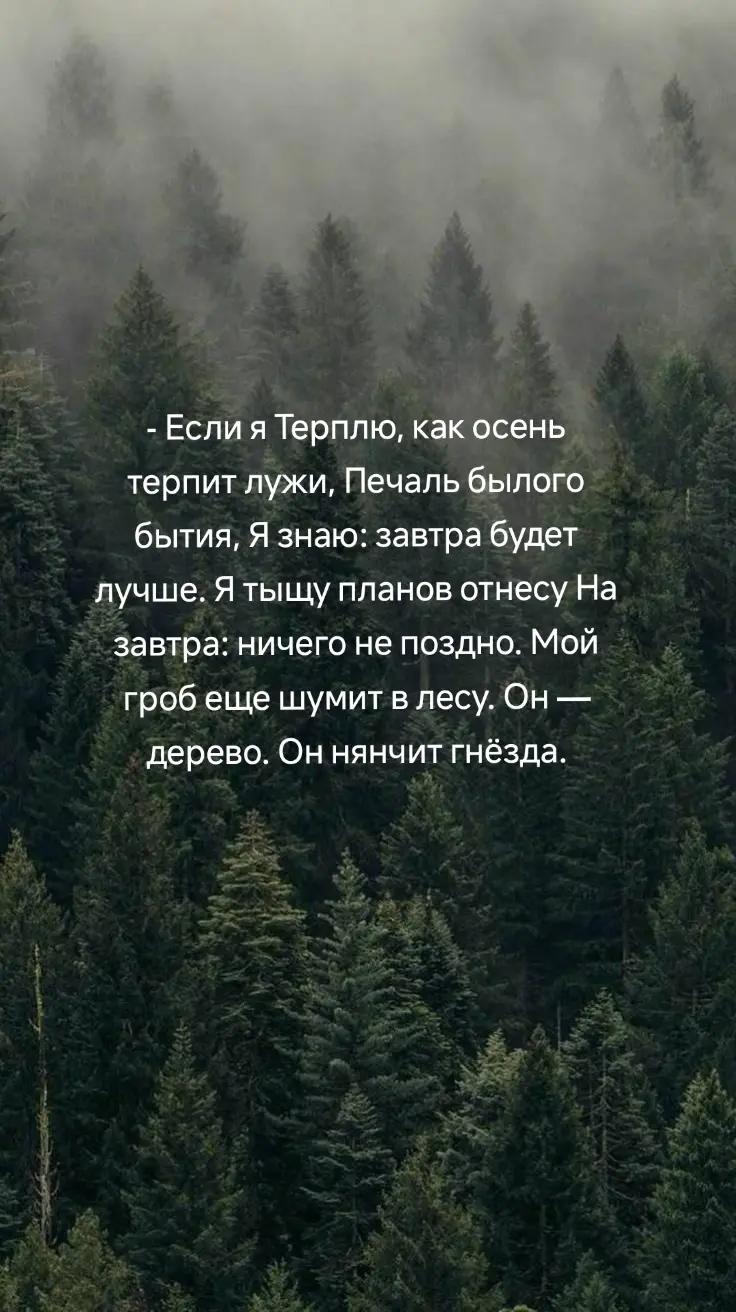 @Windi