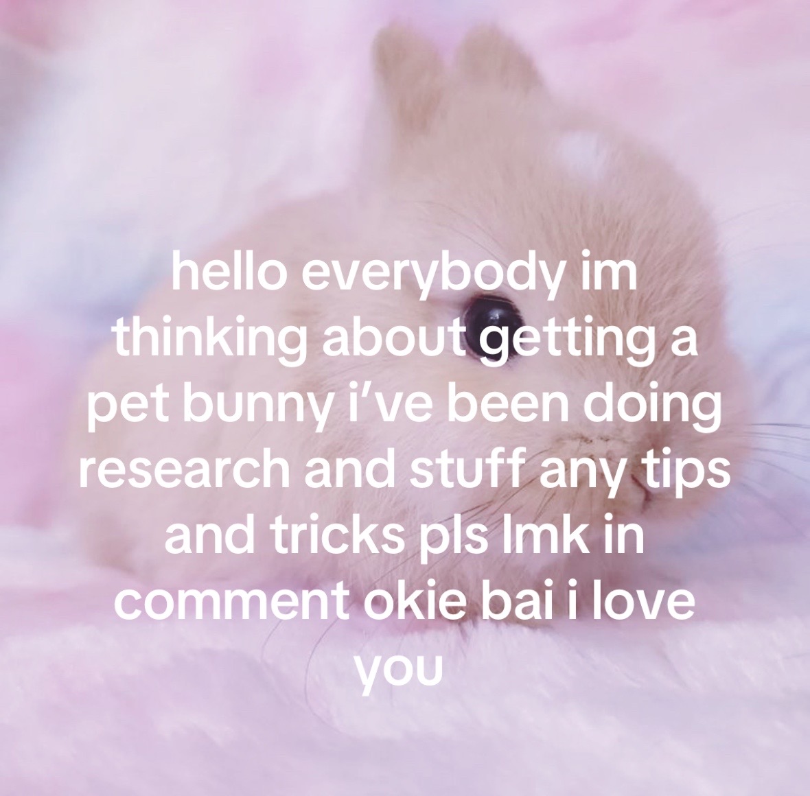 @avaa 🦄🪽🍭