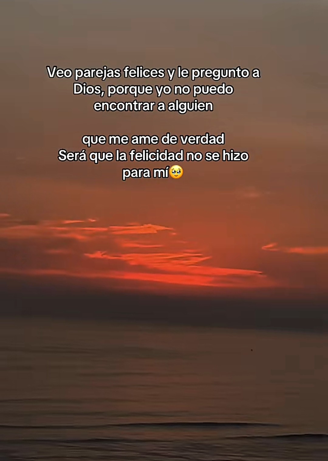 @Andre🌻