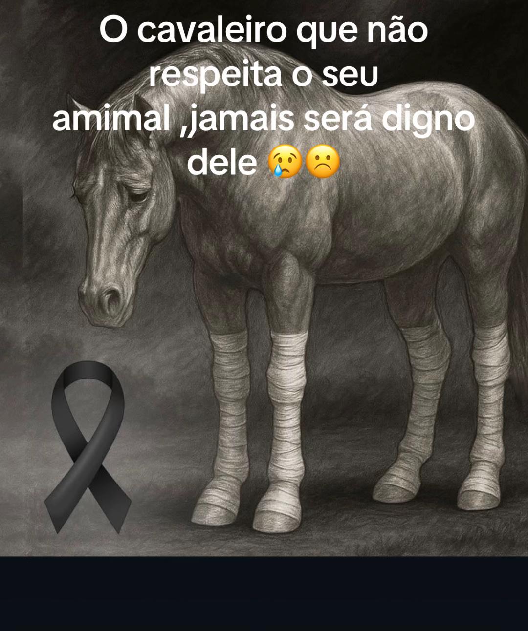 @Patricia Faria