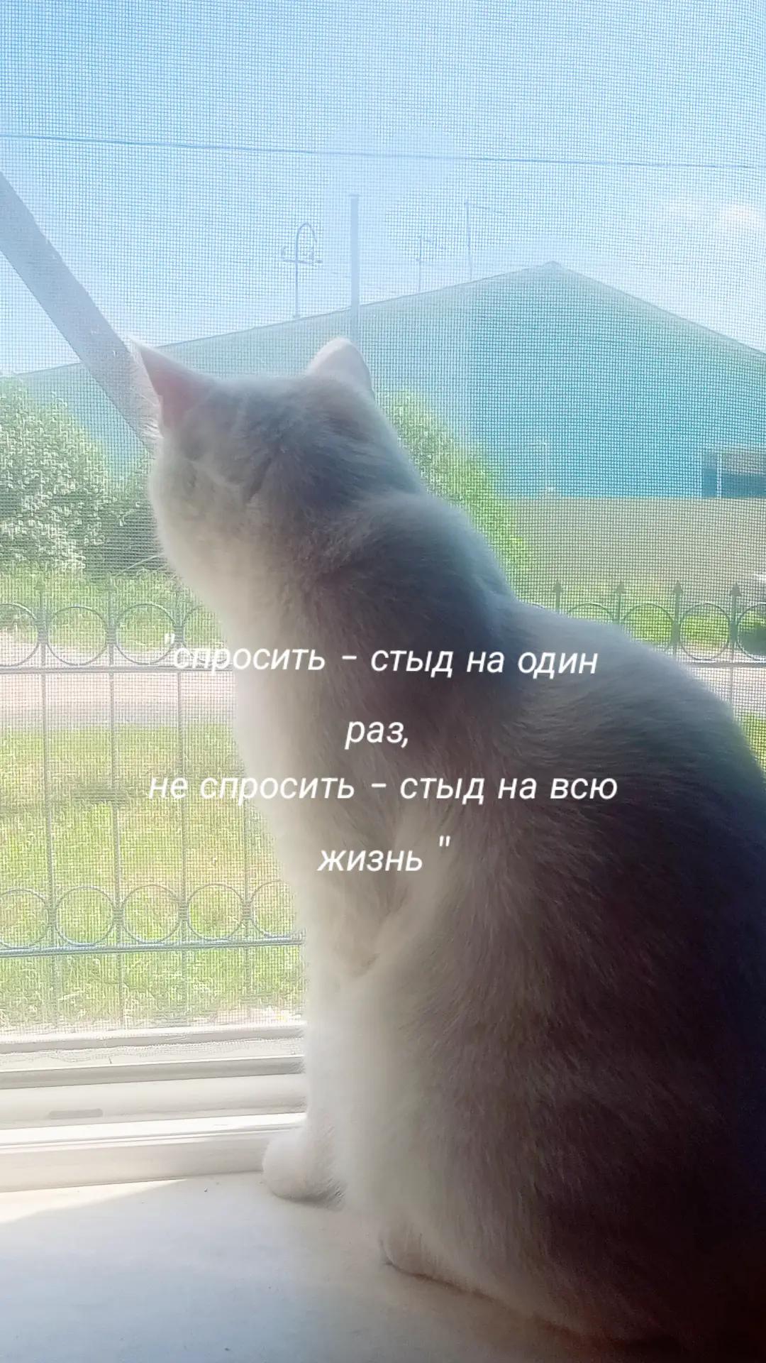 @|✩⊹₊˚&bull;ﾉ&middot;&deg;꒷&rsaquo;.𓏲|