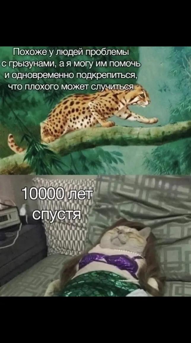 @Татьяна