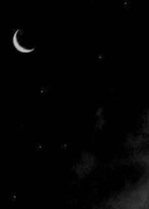 @★✩° 。⋆ Raeven ⋆。°✩ ★