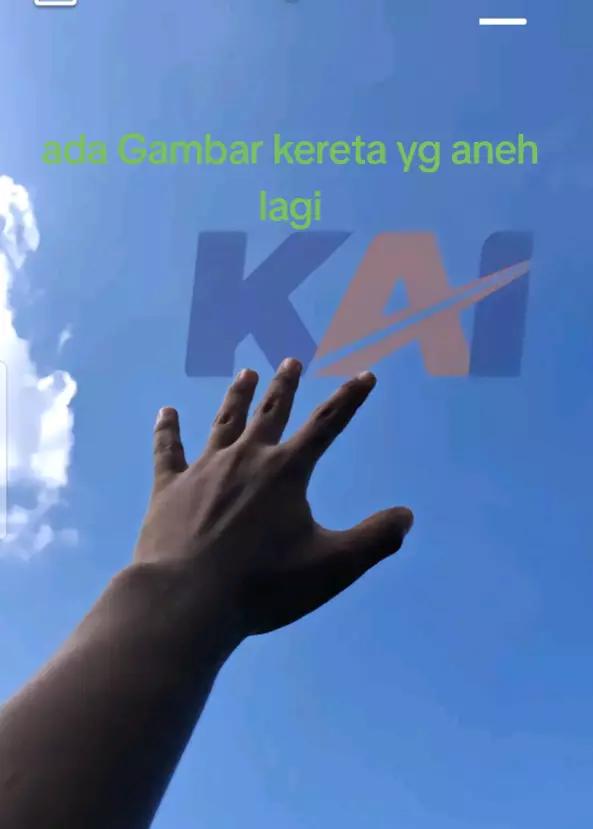 @celqnacowk