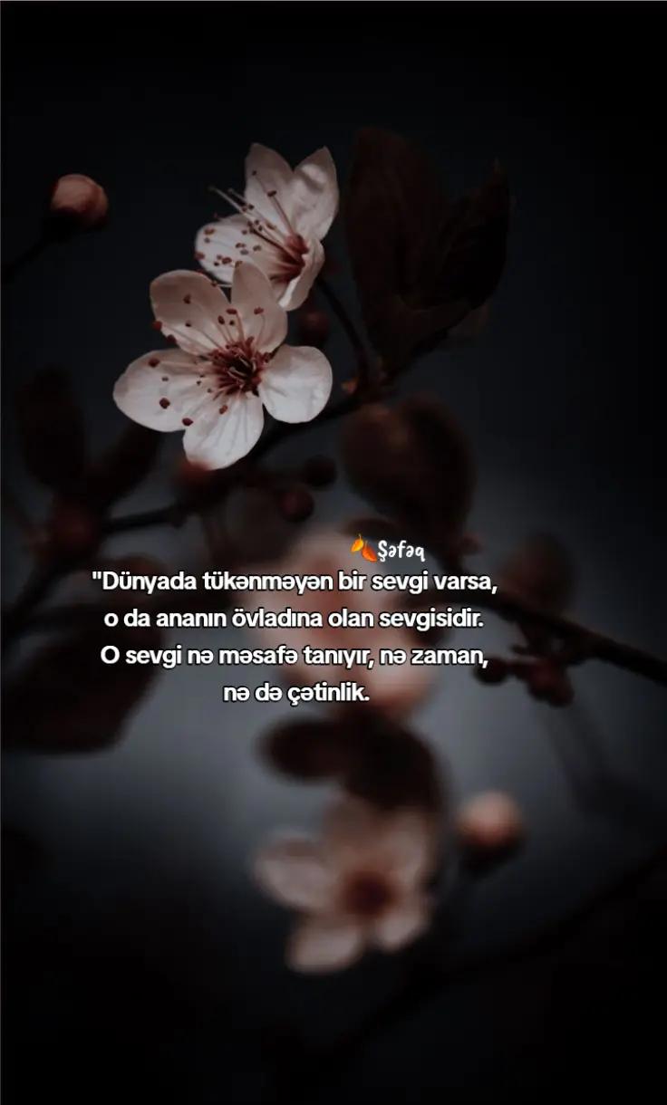 @🍂ŞƏFƏQ🍂