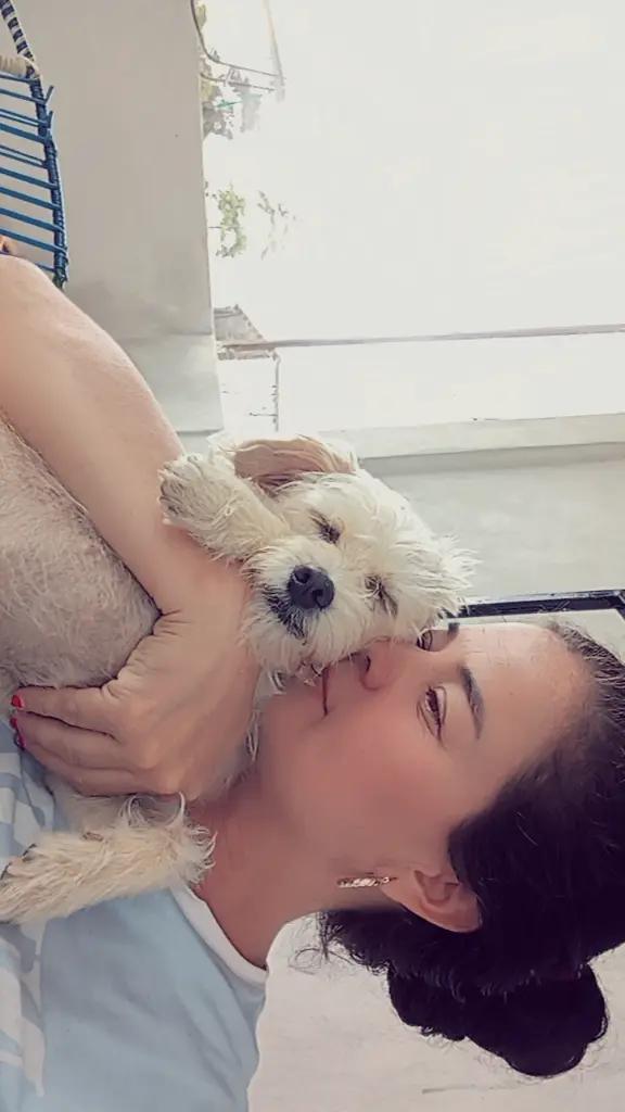 @wuendit