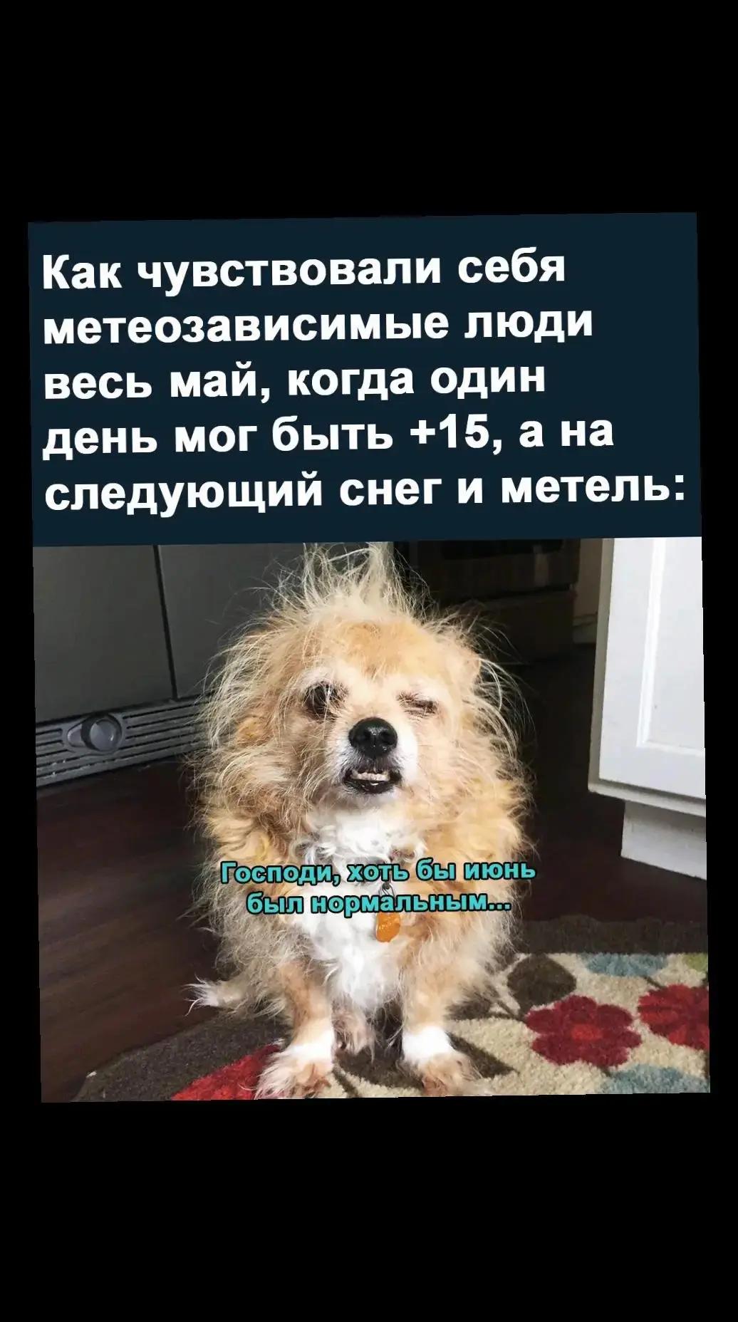 @Олеся