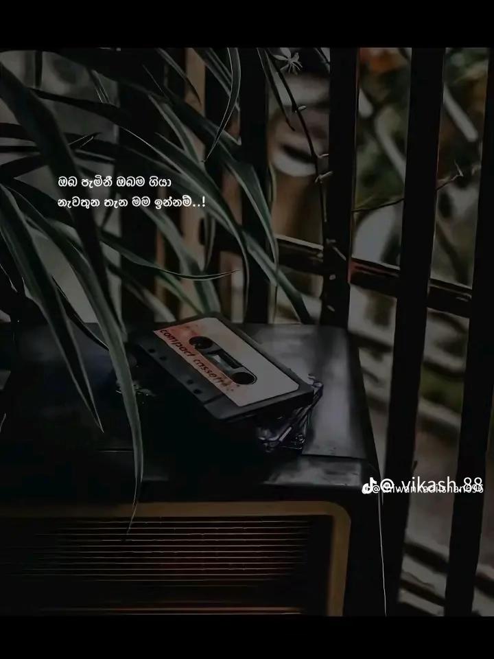 @Anuu🤍03:24🫀🙂